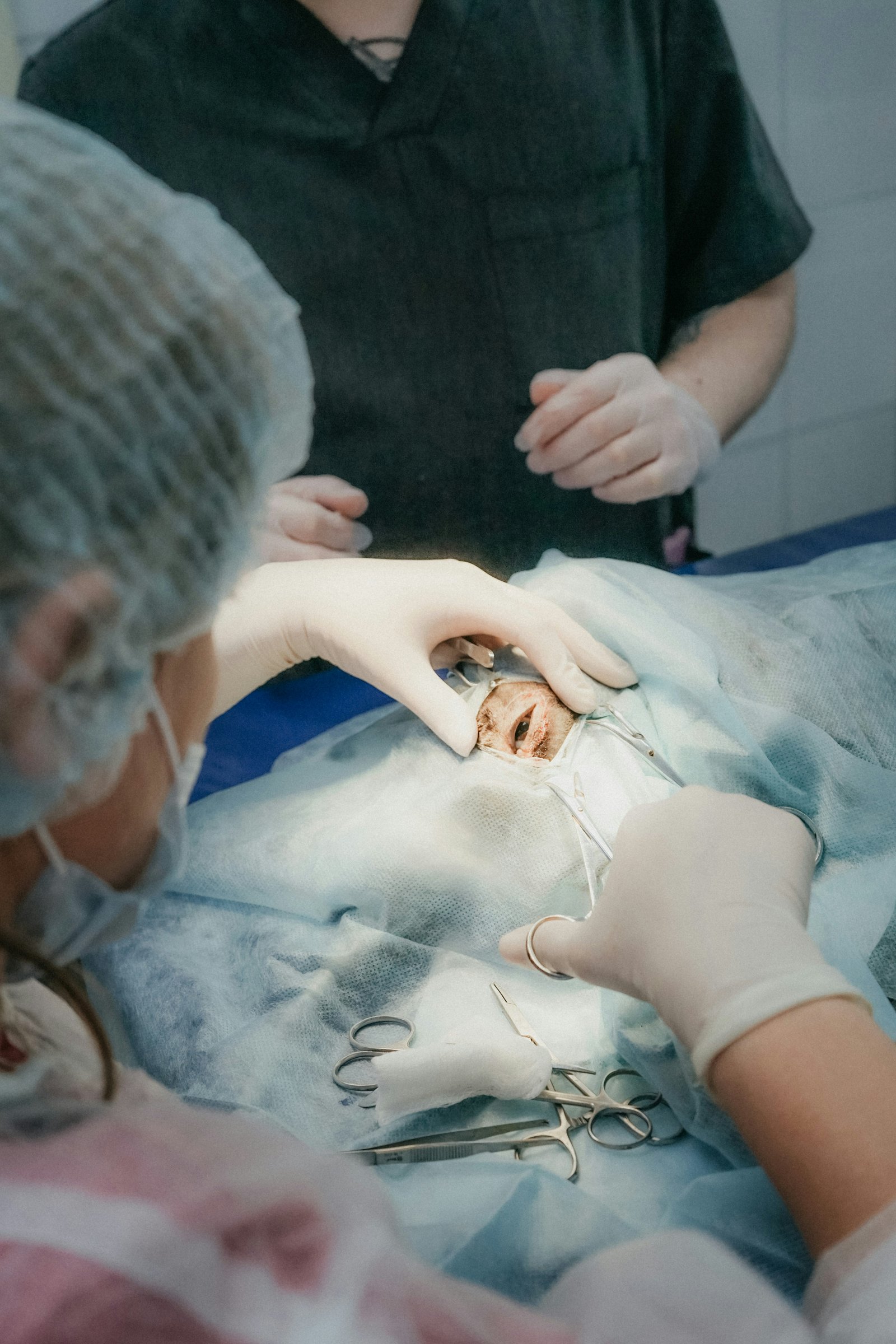 Aesthetic treatments and rhinoplasty in Albania